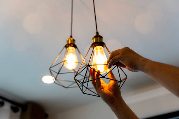 Best Electrical Contractors for Businesses  in Hernando Beach, FL