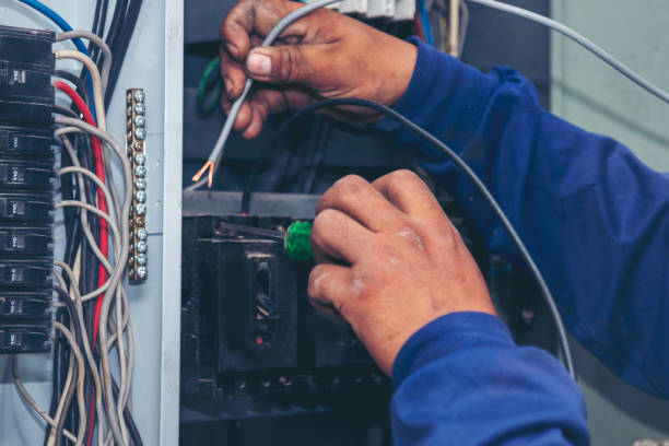 Best Local Electrician Companies  in Hernando Beach, FL